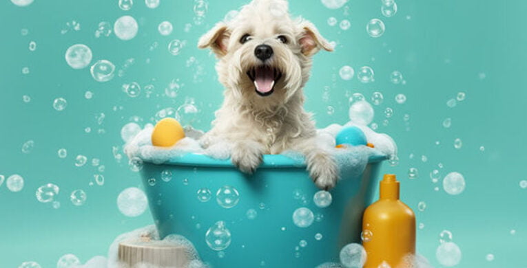 peluqueria y estetica